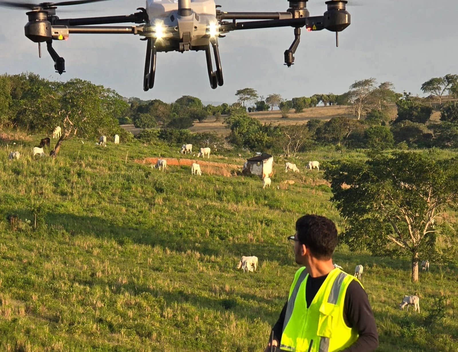 Treinamento e Capacitação